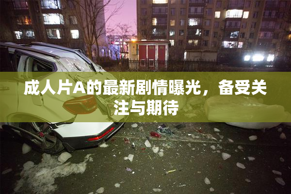 成人片A的最新剧情曝光，备受关注与期待