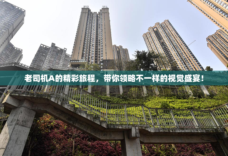 老司机A的精彩旅程，带你领略不一样的视觉盛宴！