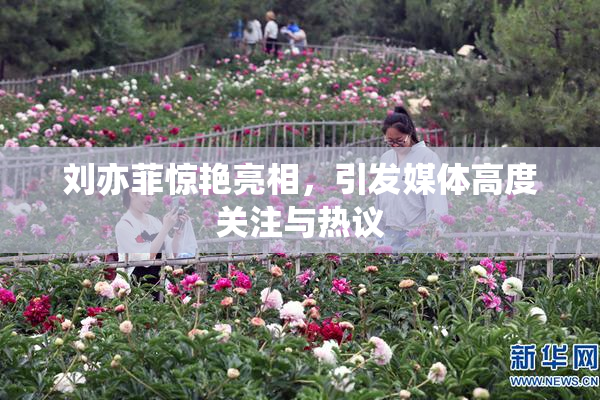 刘亦菲惊艳亮相，引发媒体高度关注与热议