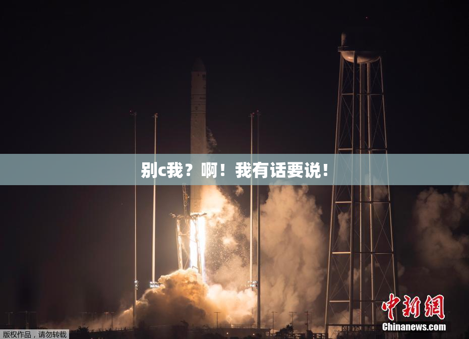 别c我？啊！我有话要说！
