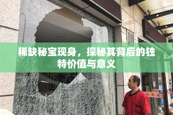 稀缺秘宝现身，探秘其背后的独特价值与意义
