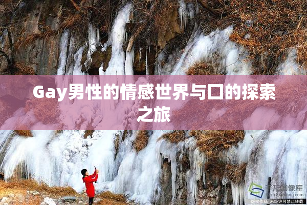 Gay男性的情感世界与囗的探索之旅