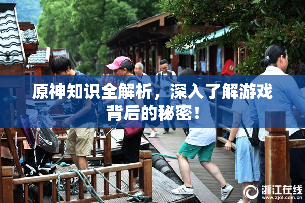 原神知识全解析，深入了解游戏背后的秘密！