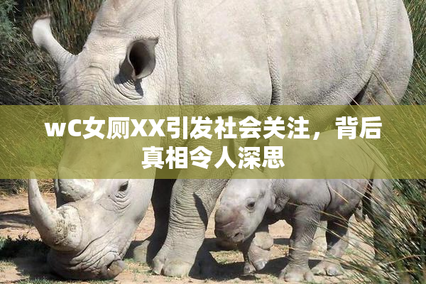 wC女厕XX引发社会关注，背后真相令人深思