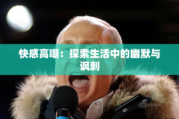 快感高嘲：探索生活中的幽默与讽刺
