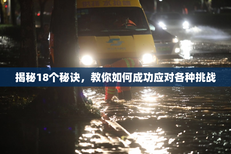 揭秘18个秘诀，教你如何成功应对各种挑战