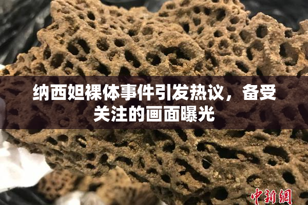 纳西妲裸体事件引发热议，备受关注的画面曝光