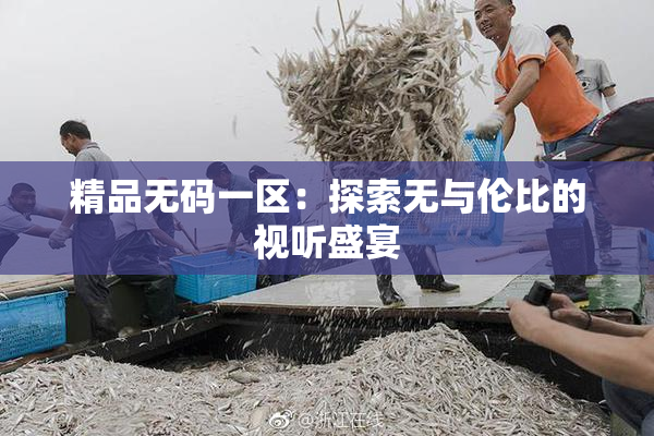 精品无码一区：探索无与伦比的视听盛宴