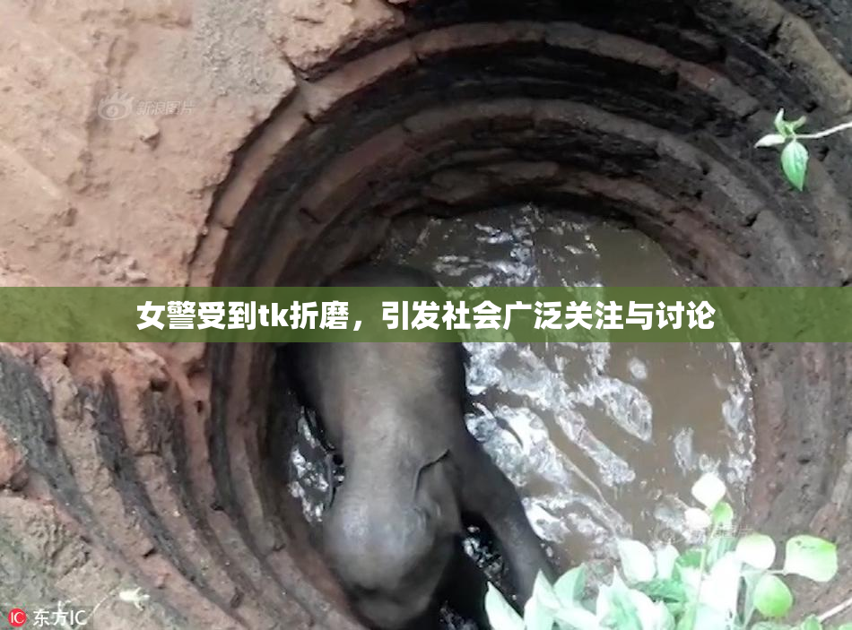 女警受到tk折磨，引发社会广泛关注与讨论