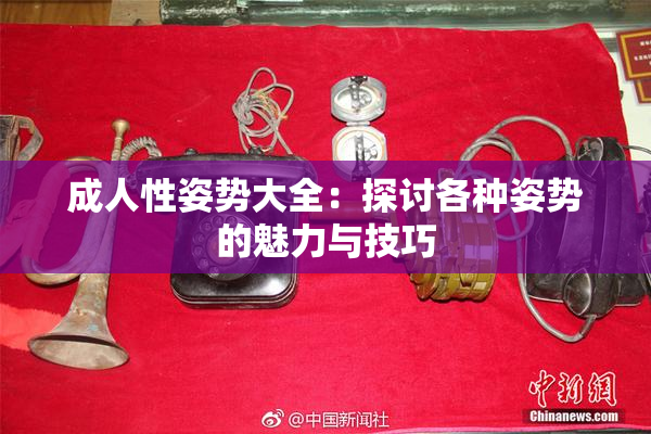 成人性姿势大全：探讨各种姿势的魅力与技巧