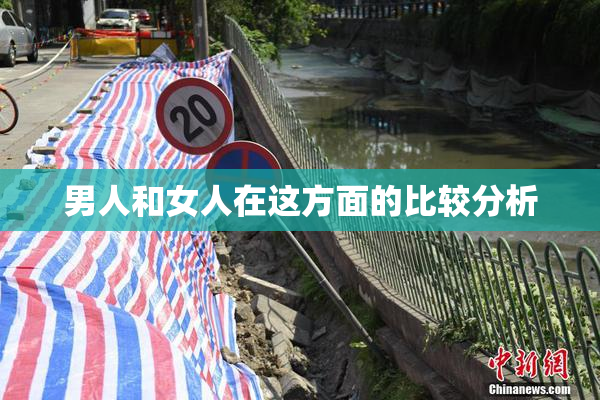 男人和女人在这方面的比较分析