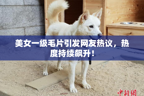 美女一级毛片引发网友热议，热度持续飙升！