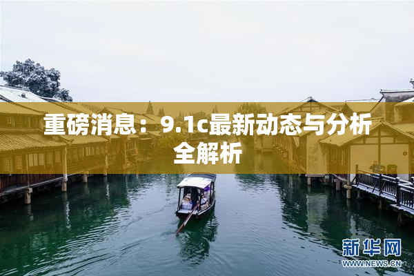 重磅消息：9.1c最新动态与分析全解析