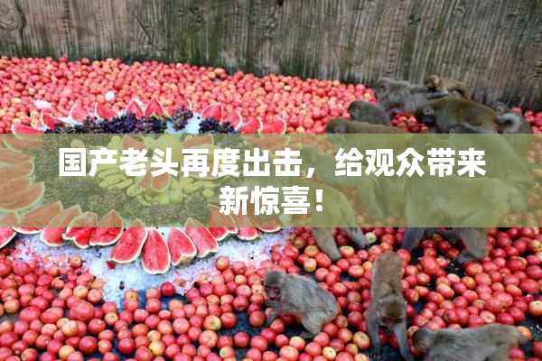 国产老头再度出击，给观众带来新惊喜！