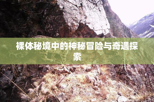 裸体秘境中的神秘冒险与奇遇探索