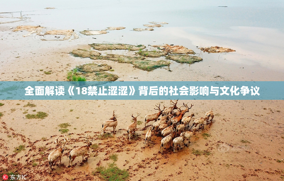全面解读《18禁止涩涩》背后的社会影响与文化争议