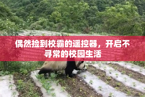 偶然捡到校霸的遥控器，开启不寻常的校园生活