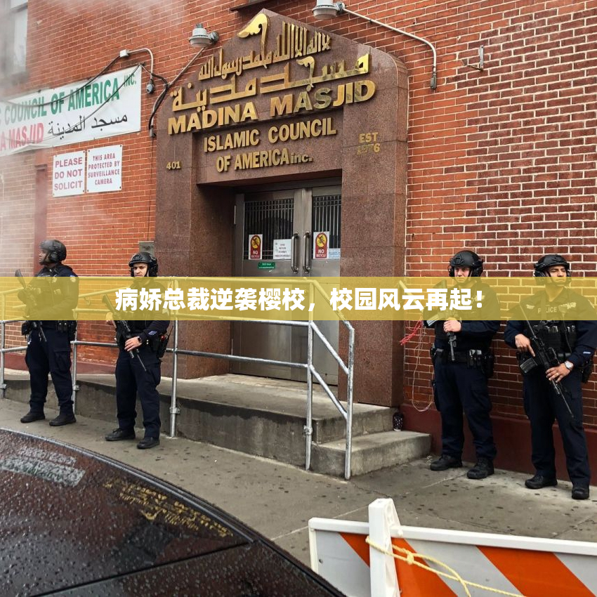 病娇总裁逆袭樱校，校园风云再起！