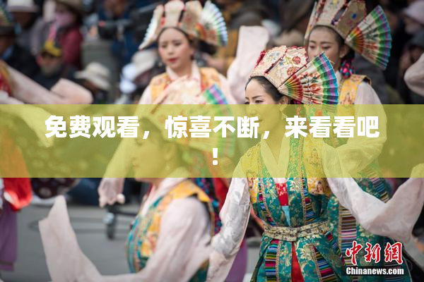 免费观看，惊喜不断，来看看吧！