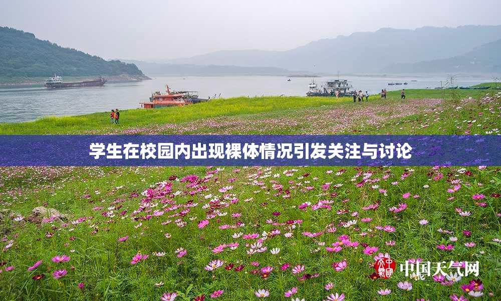 学生在校园内出现裸体情况引发关注与讨论