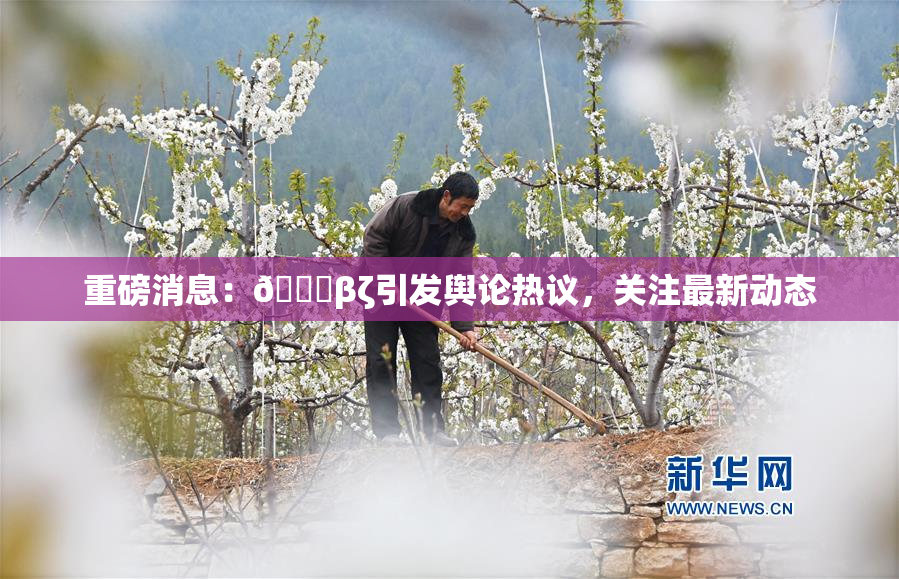 重磅消息：👙βζ引发舆论热议，关注最新动态