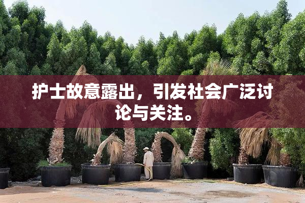 护士故意露出，引发社会广泛讨论与关注。