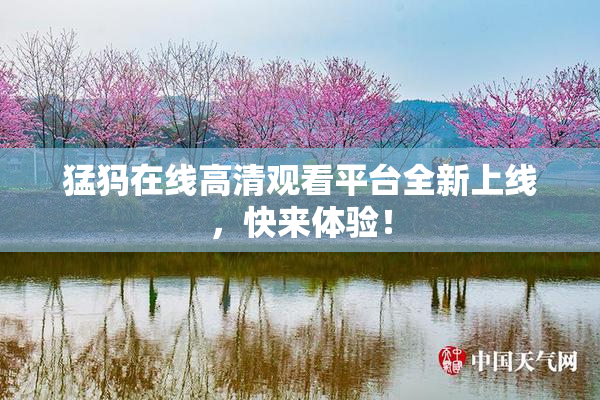 猛犸在线高清观看平台全新上线，快来体验！