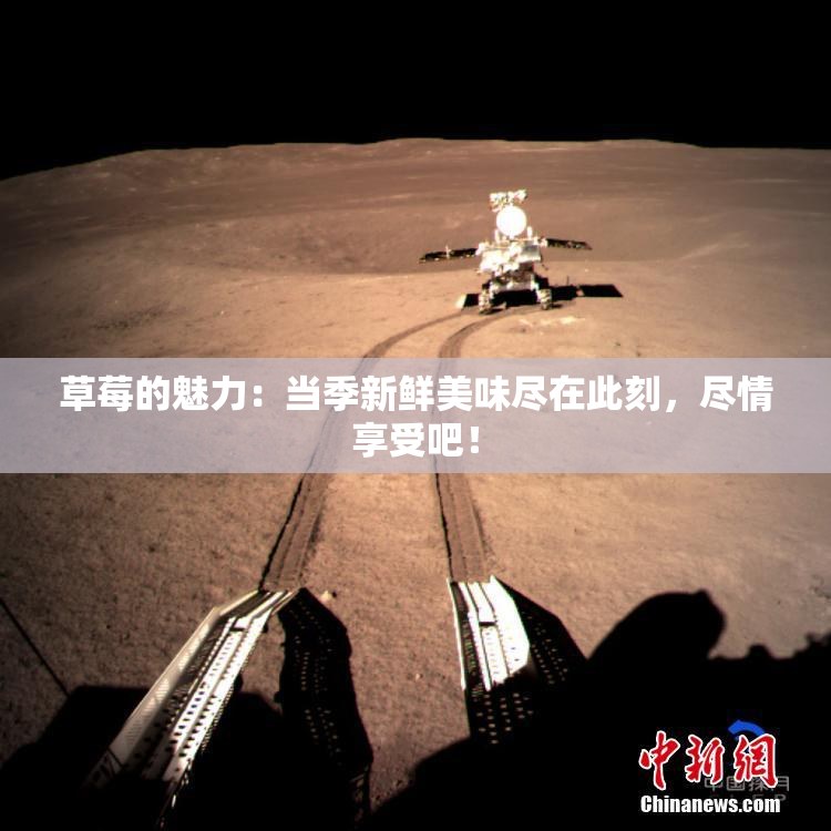 草莓的魅力：当季新鲜美味尽在此刻，尽情享受吧！