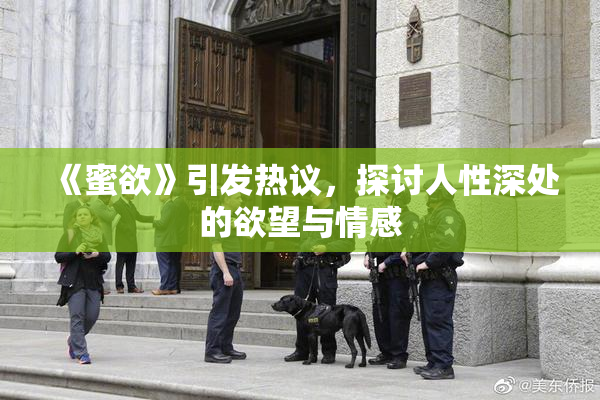 《蜜欲》引发热议，探讨人性深处的欲望与情感