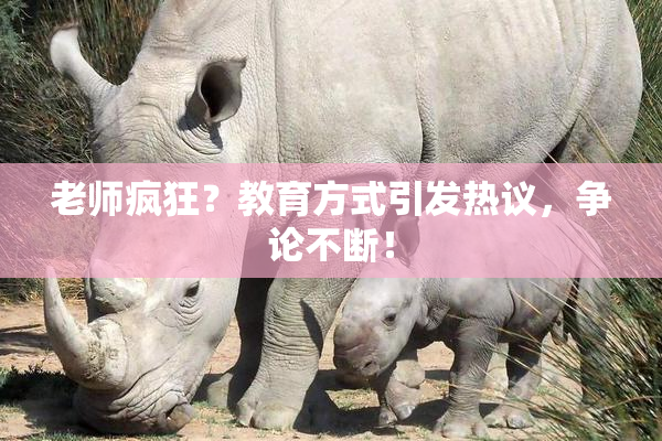 老师疯狂？教育方式引发热议，争论不断！