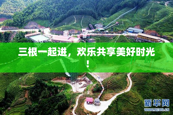 三根一起进，欢乐共享美好时光！
