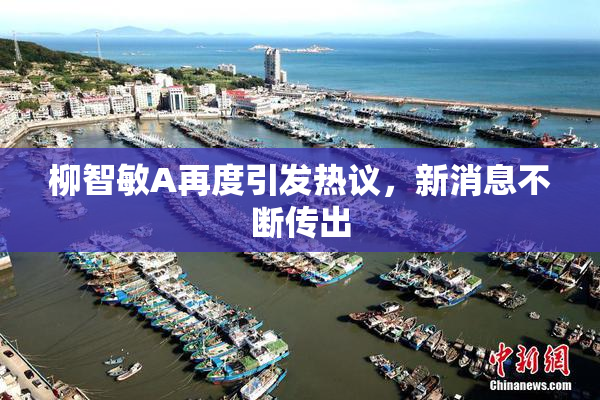 柳智敏A再度引发热议，新消息不断传出