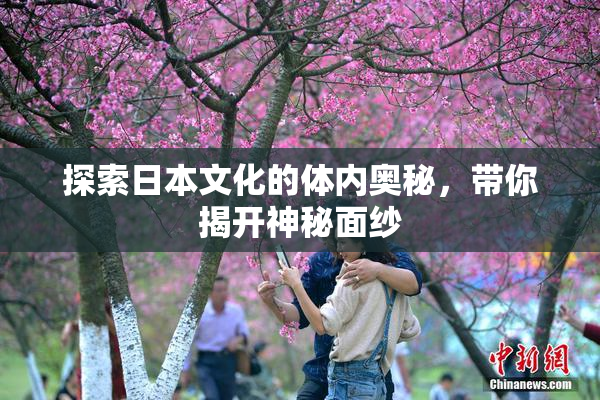 探索日本文化的体内奥秘，带你揭开神秘面纱