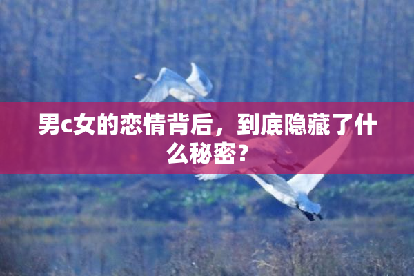 男c女的恋情背后，到底隐藏了什么秘密？