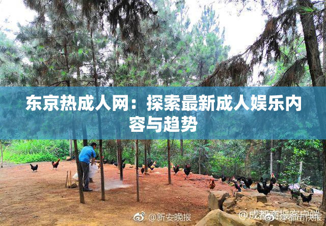 东京热成人网：探索最新成人娱乐内容与趋势