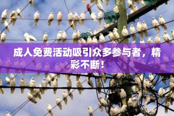 成人免费活动吸引众多参与者，精彩不断！