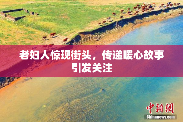 老妇人惊现街头，传递暖心故事引发关注