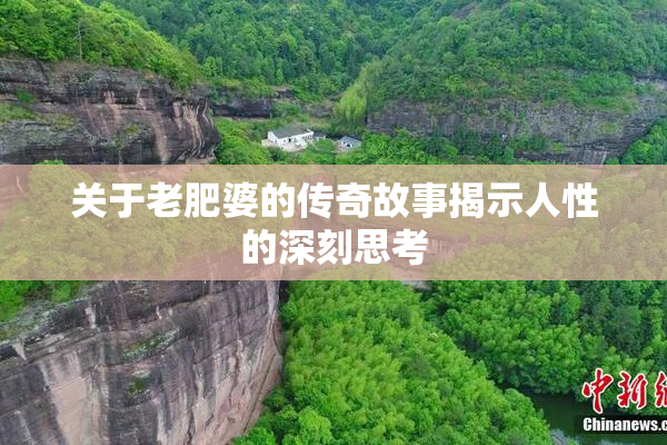 关于老肥婆的传奇故事揭示人性的深刻思考