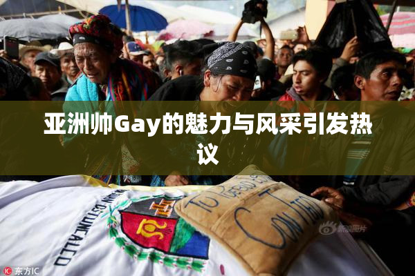 亚洲帅Gay的魅力与风采引发热议
