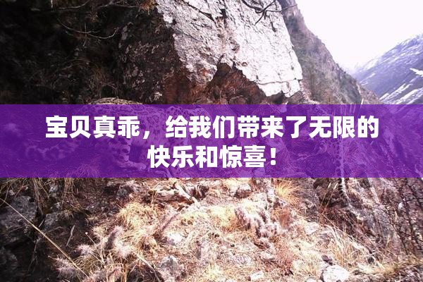 宝贝真乖，给我们带来了无限的快乐和惊喜！