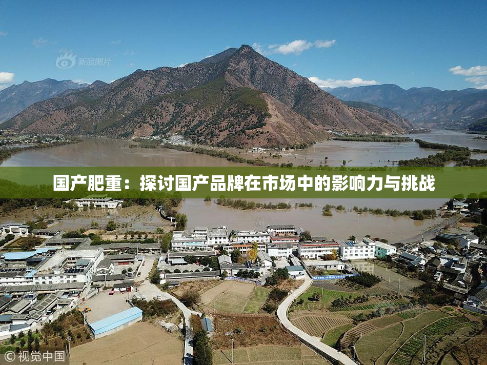 国产肥重：探讨国产品牌在市场中的影响力与挑战