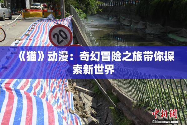 《猫》动漫：奇幻冒险之旅带你探索新世界