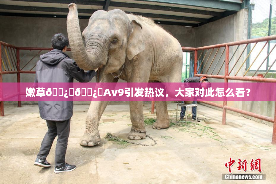 嫩草🌿‌🌿‌Av9引发热议，大家对此怎么看？