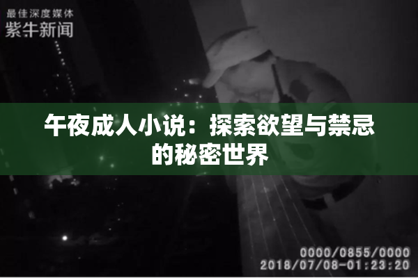 午夜成人小说：探索欲望与禁忌的秘密世界