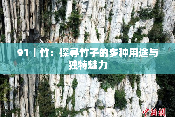 91丨竹：探寻竹子的多种用途与独特魅力
