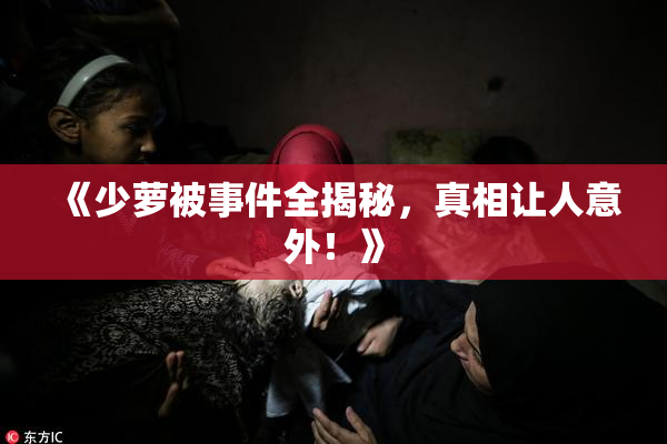 《少萝被事件全揭秘，真相让人意外！》