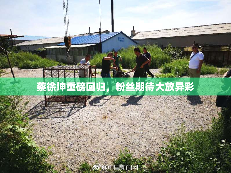 蔡徐坤重磅回归，粉丝期待大放异彩