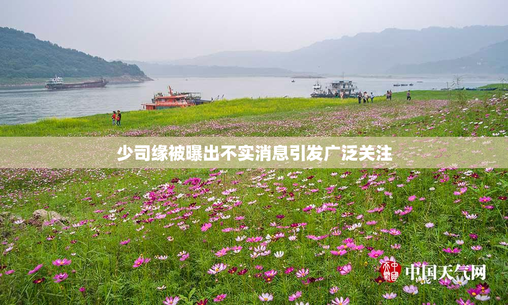 少司缘被曝出不实消息引发广泛关注