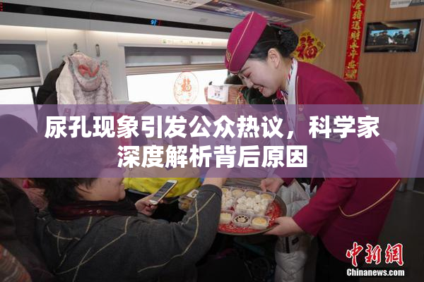 尿孔现象引发公众热议，科学家深度解析背后原因