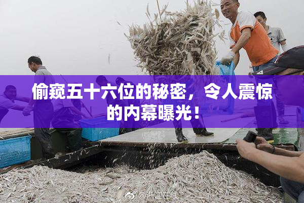 偷窥五十六位的秘密，令人震惊的内幕曝光！